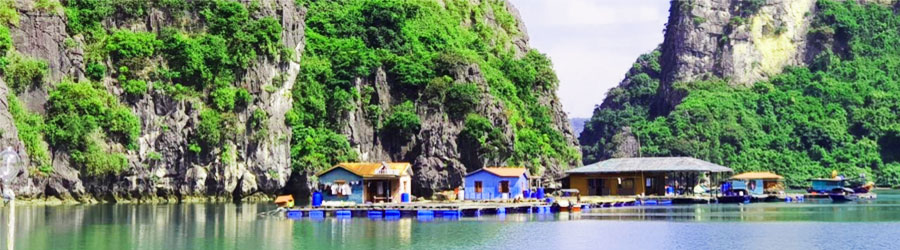 Vung Vieng Fishing Village in Halong bay